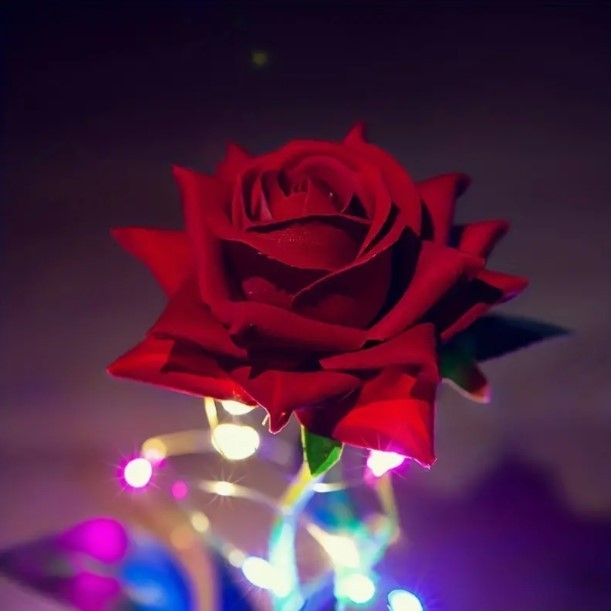 A Rosa Encantada Luminária Abajur com LED O Encanto da Magia Inspirada na A Bela e A Fera e no O Pequeno Príncipe A Rosa Eterna Aveludada